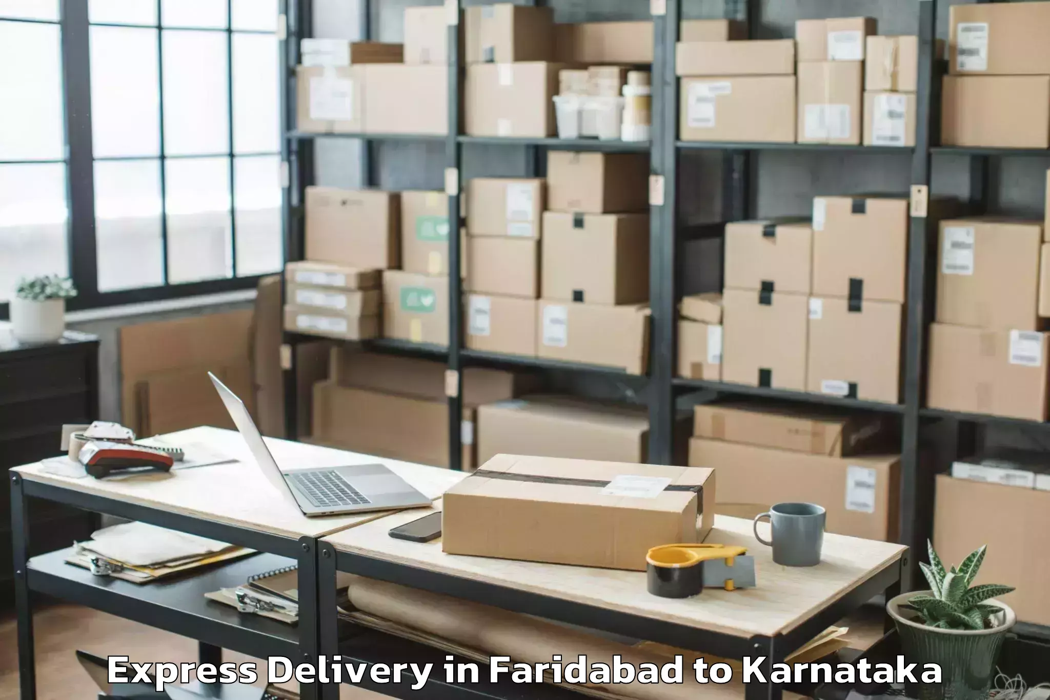 Book Faridabad to Harapanahalli Express Delivery Online